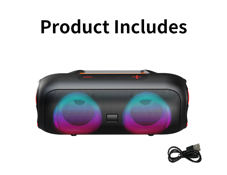 at home karaoke party, party stereo system, houseparty speaker
